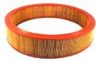 FORD 78EF9601AA Air Filter